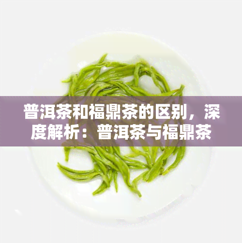 普洱茶和福鼎茶的区别，深度解析：普洱茶与福鼎茶的五大区别