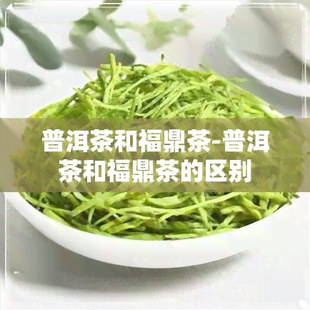 普洱茶和福鼎茶-普洱茶和福鼎茶的区别