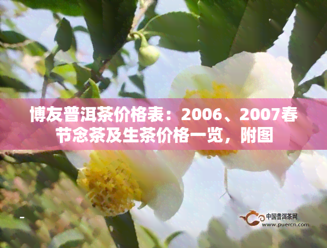 博友普洱茶价格表：2006、2007春节念茶及生茶价格一览，附图