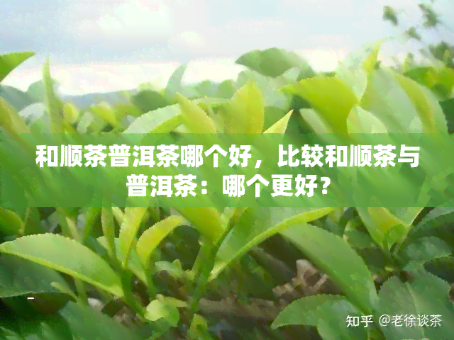 和顺茶普洱茶哪个好，比较和顺茶与普洱茶：哪个更好？