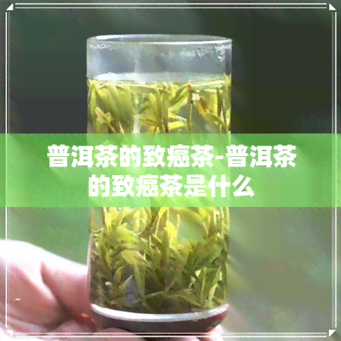 普洱茶的致癌茶-普洱茶的致癌茶是什么