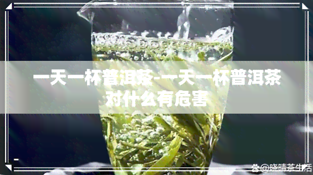 一天一杯普洱茶-一天一杯普洱茶对什么有危害