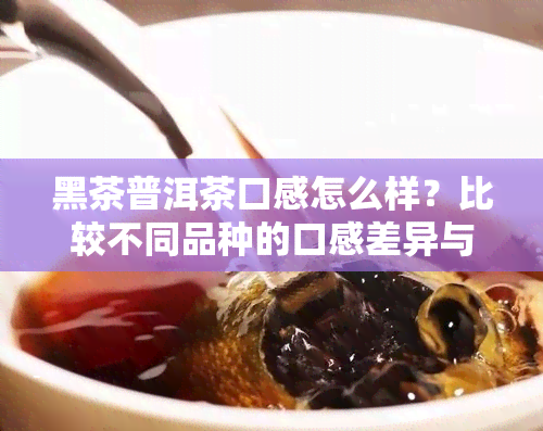 黑茶普洱茶口感怎么样？比较不同品种的口感差异与推荐