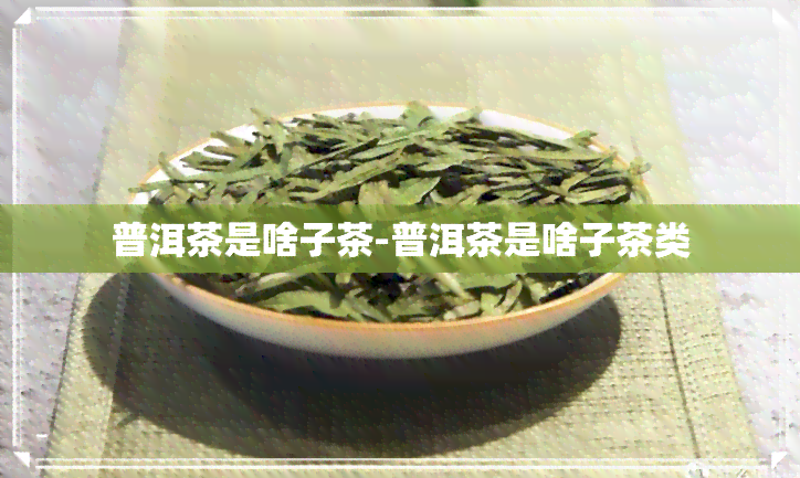 普洱茶是啥子茶-普洱茶是啥子茶类