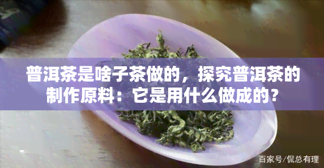 普洱茶是啥子茶做的，探究普洱茶的制作原料：它是用什么做成的？