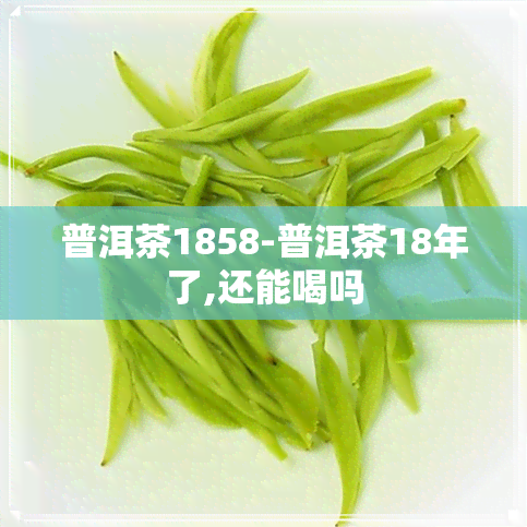 普洱茶1858-普洱茶18年了,还能喝吗