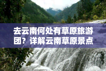 去云南何处有草原旅游团？详解云南草原景点及玩法