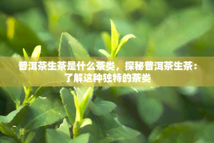 普洱茶生茶是什么茶类，探秘普洱茶生茶：了解这种独特的茶类