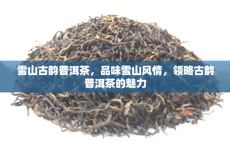 雪山古韵普洱茶，品味雪山风情，领略古韵普洱茶的魅力