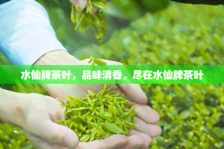 水仙牌茶叶，品味清香，尽在水仙牌茶叶