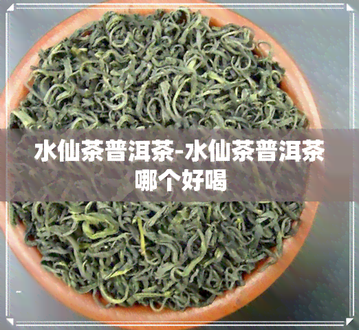 水仙茶普洱茶-水仙茶普洱茶哪个好喝