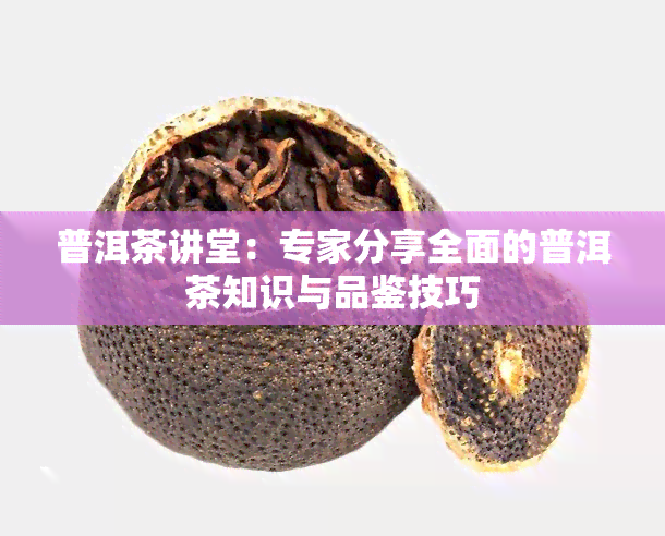 普洱茶讲堂：专家分享全面的普洱茶知识与品鉴技巧