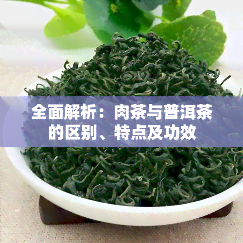 全面解析：肉茶与普洱茶的区别、特点及功效