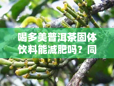 喝多美普洱茶固体饮料能减肥吗？同时也能喝沙棘原浆吗？探究其功效与饮用方法