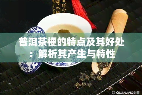 普洱茶梗的特点及其好处：解析其产生与特性