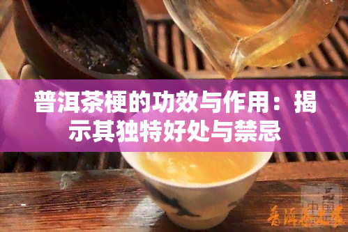 普洱茶梗的功效与作用：揭示其独特好处与禁忌