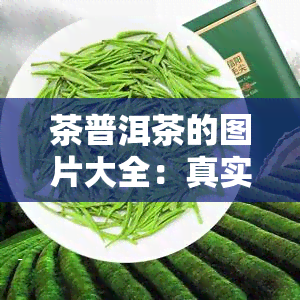 茶普洱茶的图片大全：真实高清唯美照片图册