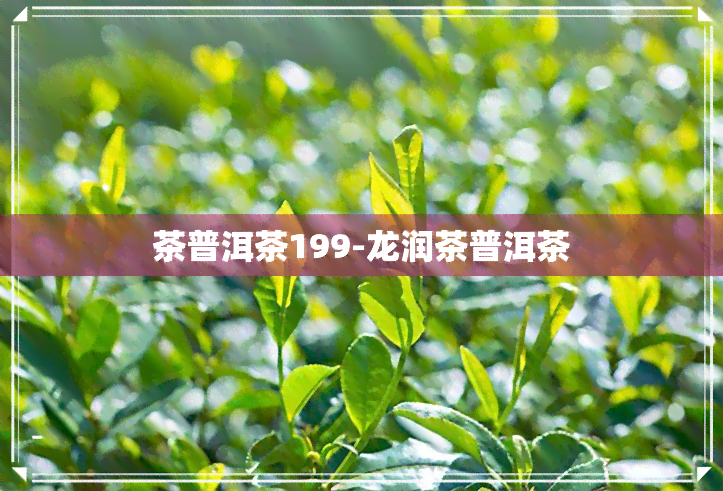 茶普洱茶199-龙润茶普洱茶