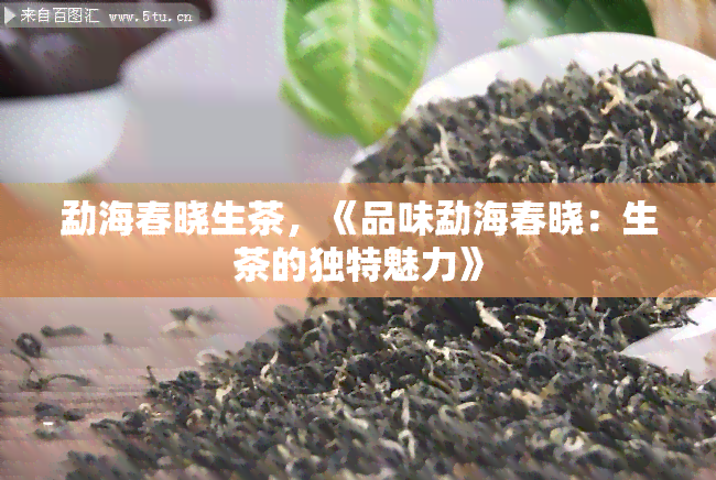 勐海春晓生茶，《品味勐海春晓：生茶的独特魅力》