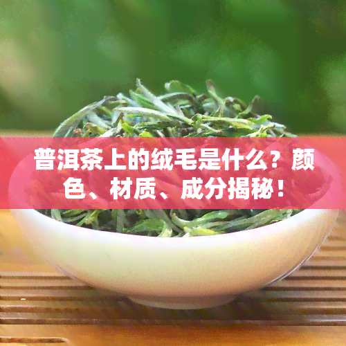 普洱茶上的绒毛是什么？颜色、材质、成分揭秘！