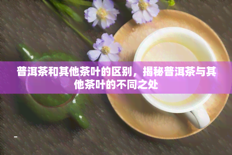 普洱茶和其他茶叶的区别，揭秘普洱茶与其他茶叶的不同之处