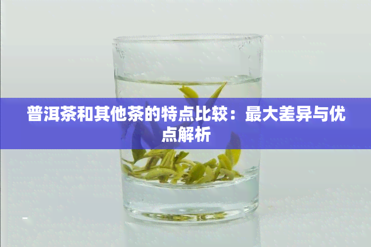 普洱茶和其他茶的特点比较：更大差异与优点解析