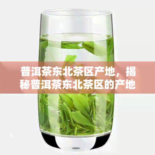 普洱茶东北茶区产地，揭秘普洱茶东北茶区的产地，你了解多少？