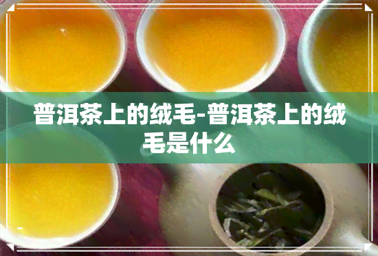 普洱茶上的绒毛-普洱茶上的绒毛是什么