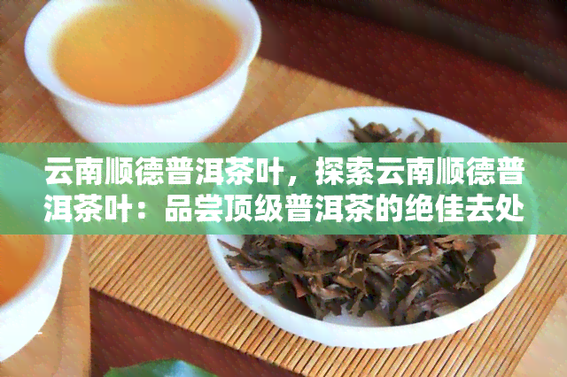 云南顺德普洱茶叶，探索云南顺德普洱茶叶：品尝顶级普洱茶的绝佳去处