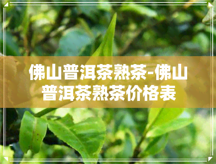 佛山普洱茶熟茶-佛山普洱茶熟茶价格表