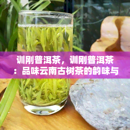 训刚普洱茶，训刚普洱茶：品味云南古树茶的韵味与魅力