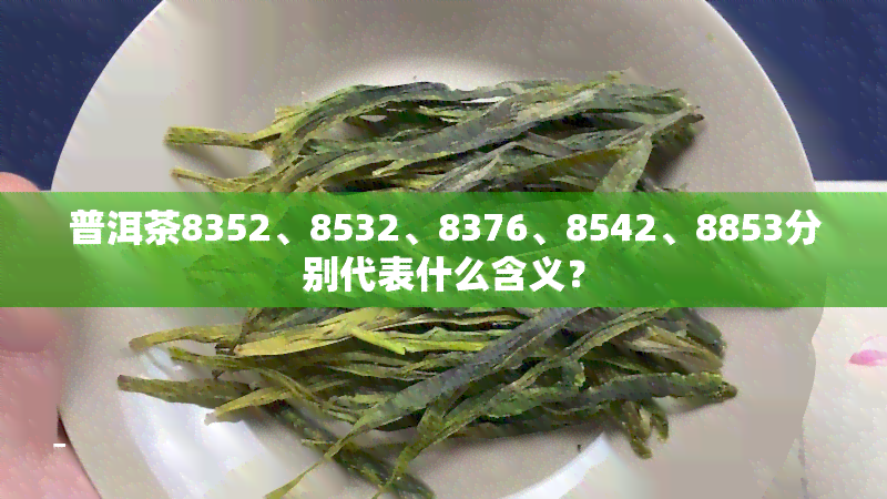 普洱茶8352、8532、8376、8542、8853分别代表什么含义？