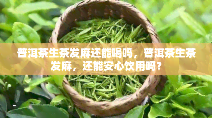 普洱茶生茶发麻还能喝吗，普洱茶生茶发麻，还能安心饮用吗？