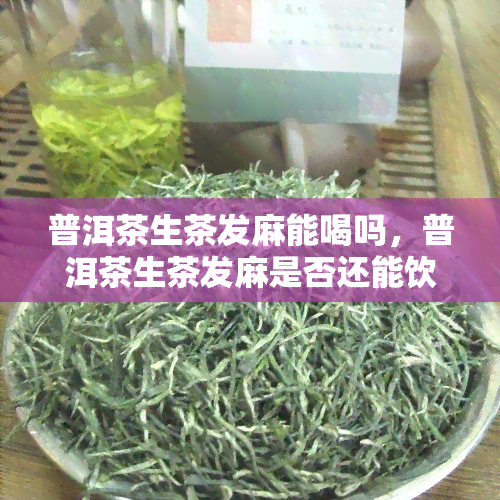 普洱茶生茶发麻能喝吗，普洱茶生茶发麻是否还能饮用？探讨其可能的原因与解决方案