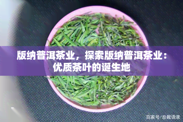 版纳普洱茶业，探索版纳普洱茶业：优质茶叶的诞生地