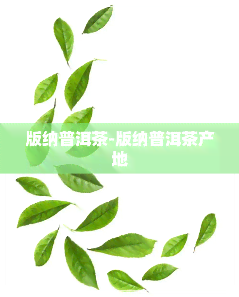 版纳普洱茶-版纳普洱茶产地