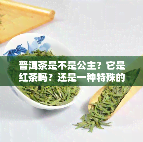 普洱茶是不是公主？它是红茶吗？还是一种特殊的茶？