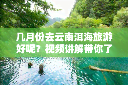 几月份去云南洱海旅游好呢？视频讲解带你了解更佳旅游时间