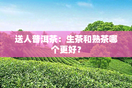 送人普洱茶：生茶和熟茶哪个更好？