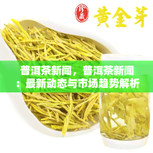 普洱茶新闻，普洱茶新闻：最新动态与市场趋势解析