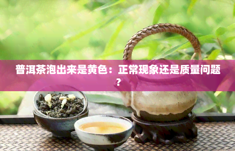 普洱茶泡出来是黄色：正常现象还是质量问题？