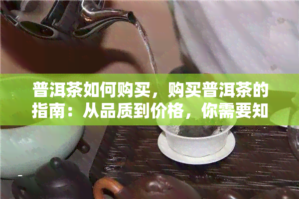 普洱茶如何购买，购买普洱茶的指南：从品质到价格，你需要知道的一切