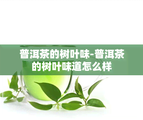 普洱茶的树叶味-普洱茶的树叶味道怎么样