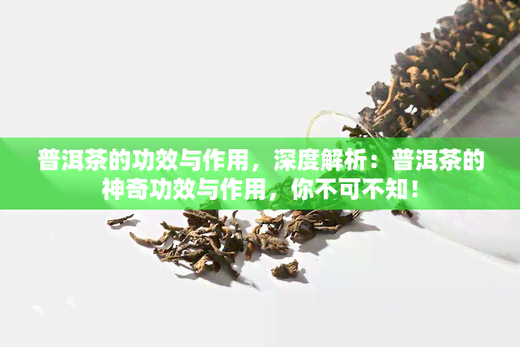 普洱茶的功效与作用，深度解析：普洱茶的神奇功效与作用，你不可不知！