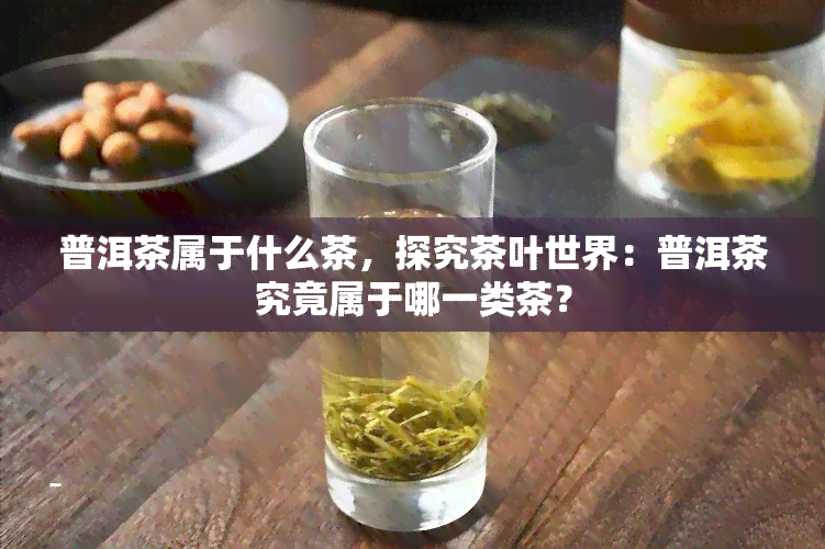 普洱茶属于什么茶，探究茶叶世界：普洱茶究竟属于哪一类茶？