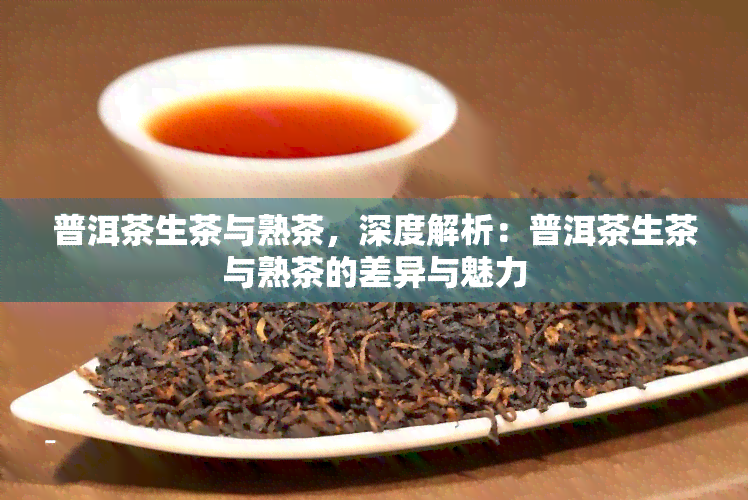 普洱茶生茶与熟茶，深度解析：普洱茶生茶与熟茶的差异与魅力