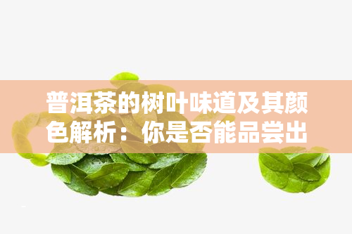 普洱茶的树叶味道及其颜色解析：你是否能品尝出其中的树叶味？附上相关图片