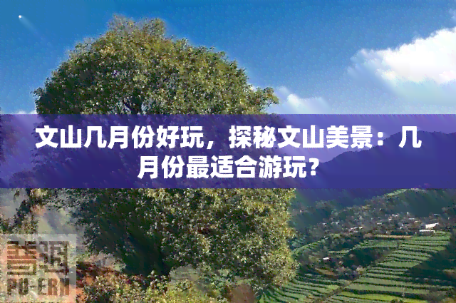 文山几月份好玩，探秘文山美景：几月份最适合游玩？