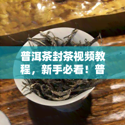 普洱茶封茶视频教程，新手必看！普洱茶封茶视频教程，让你轻松学会正确保存茶叶的方法