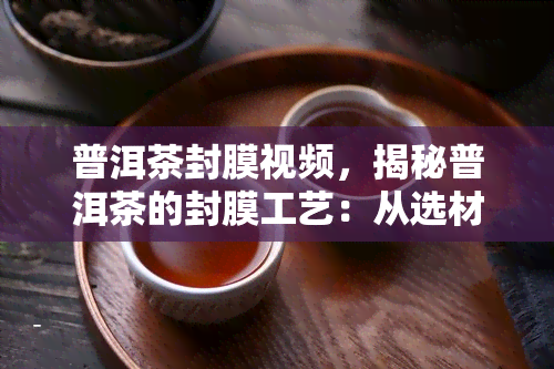 普洱茶封膜视频，揭秘普洱茶的封膜工艺：从选材到包装全过程解析